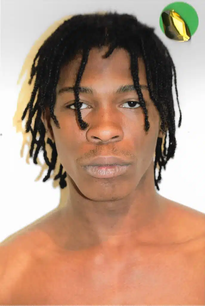 A man with dreadlocks is looking at the camera.